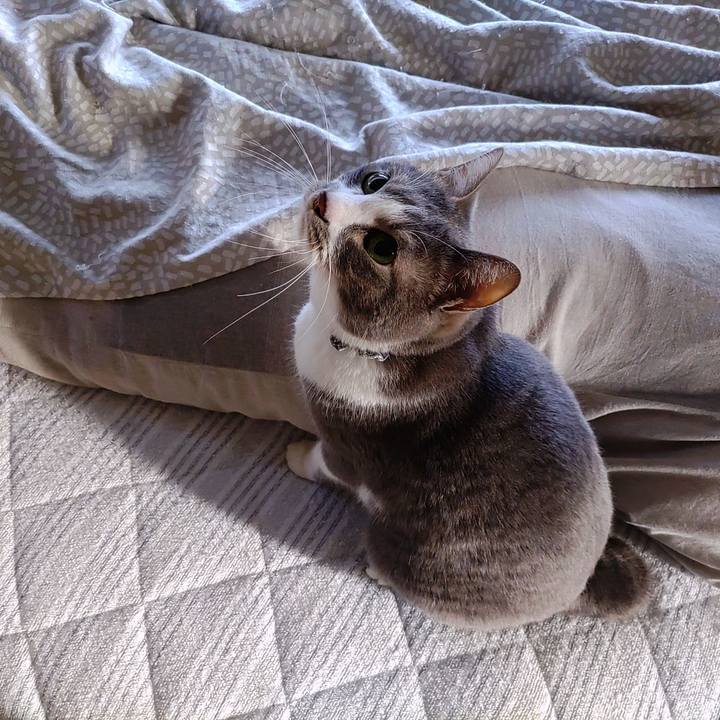 6bd12a44 061e 41c0 b14d f56f9cea1a7d 1712827679608