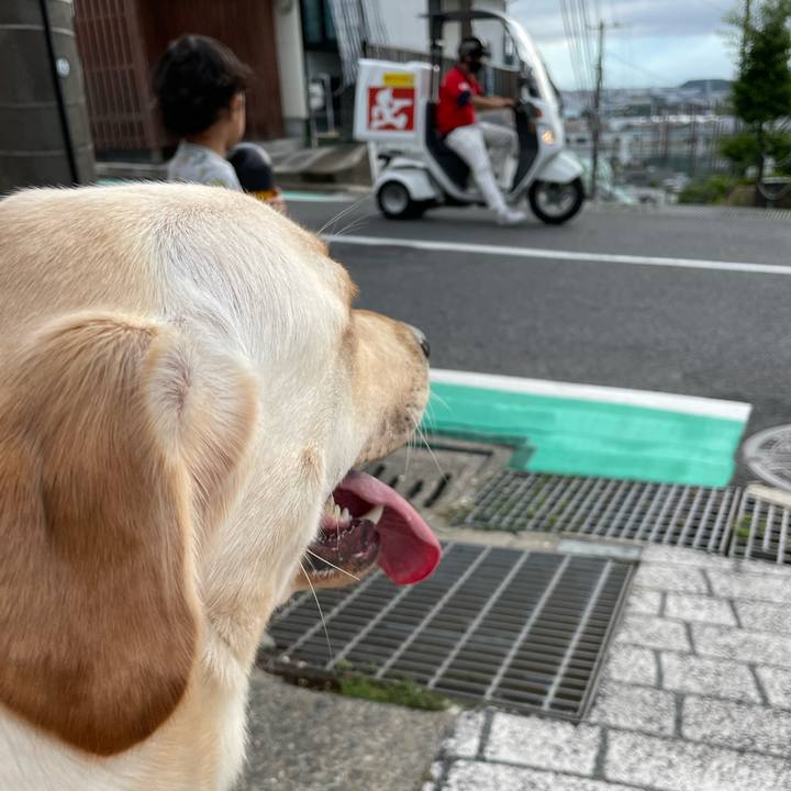 6bd13a04 2b18 4137 aeac 1b9ce0d96251 1657113328105