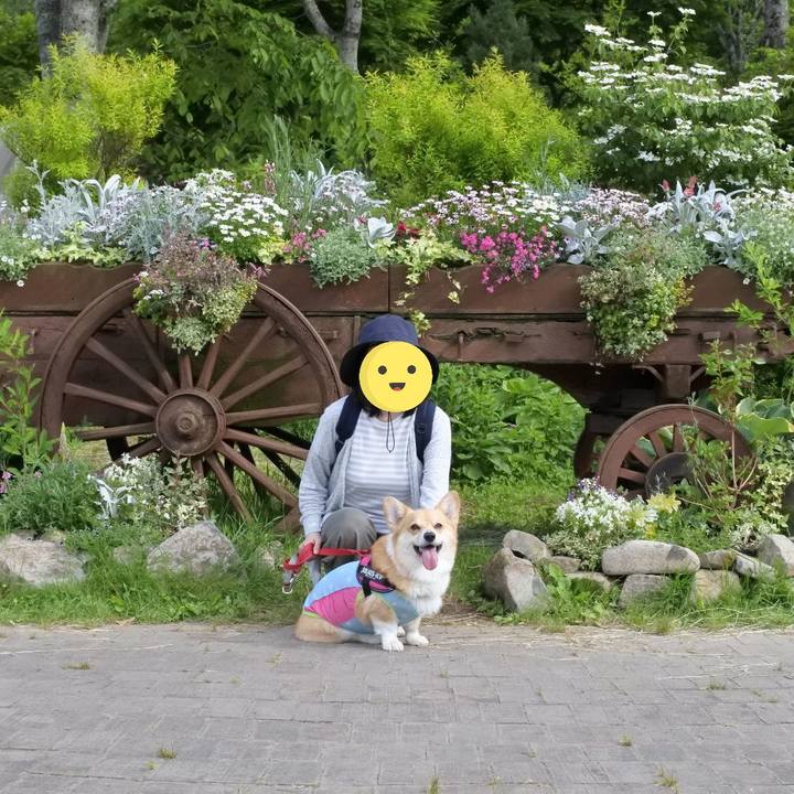 6bd15267 8eb9 4289 af48 36b669256ab3 1591455330455