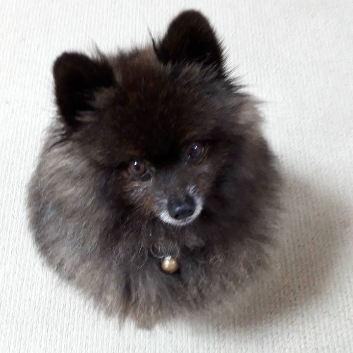 6bd15ad3 510e 4b7a bb3c 88cf44a6deb4 1521146512024