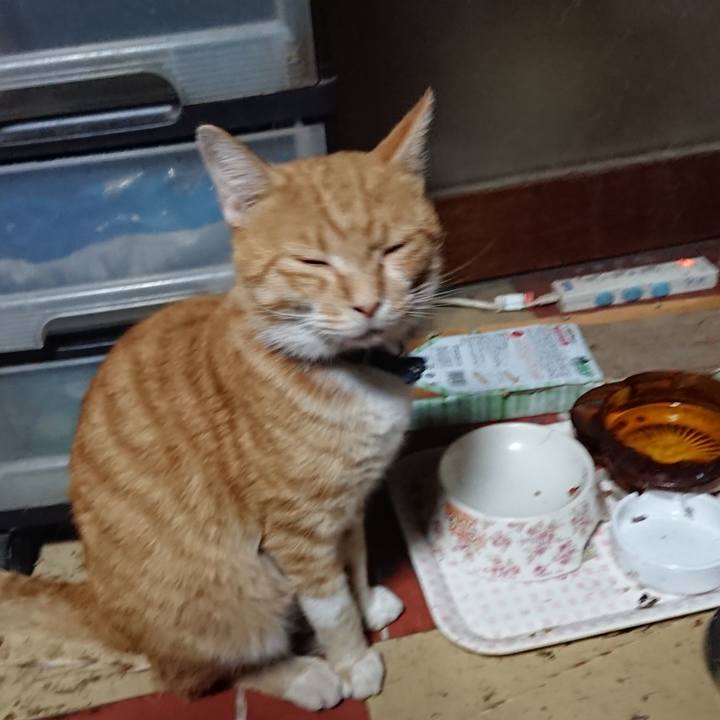 6bd1769e df85 49cb b9ff 6e66a0f2cb91 1566159473064