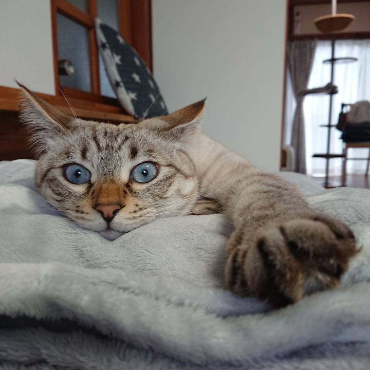 6bd18285 77e3 4c87 93ff 064c71ec183d 1574474072262