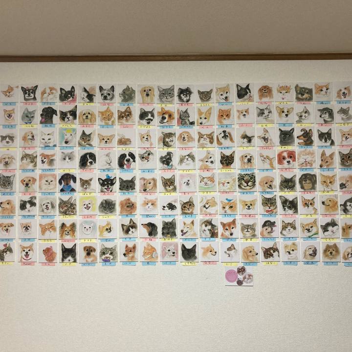 6bd191f2 9a06 476d 8186 b77ff01d4973 1667386185414