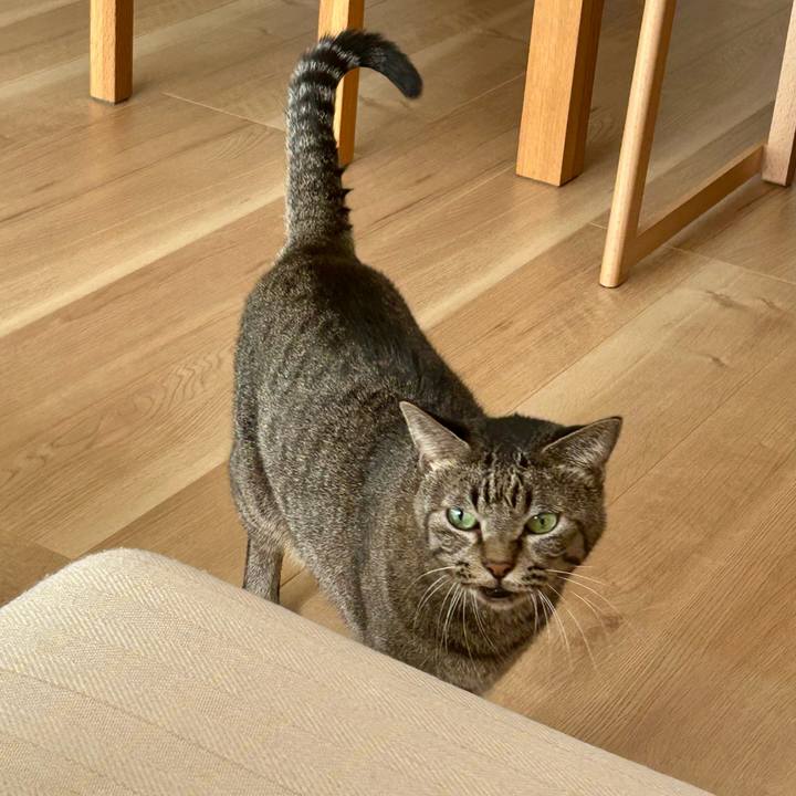 6bd19235 f5bd 4470 9593 7857b088f0a2 1764026375939