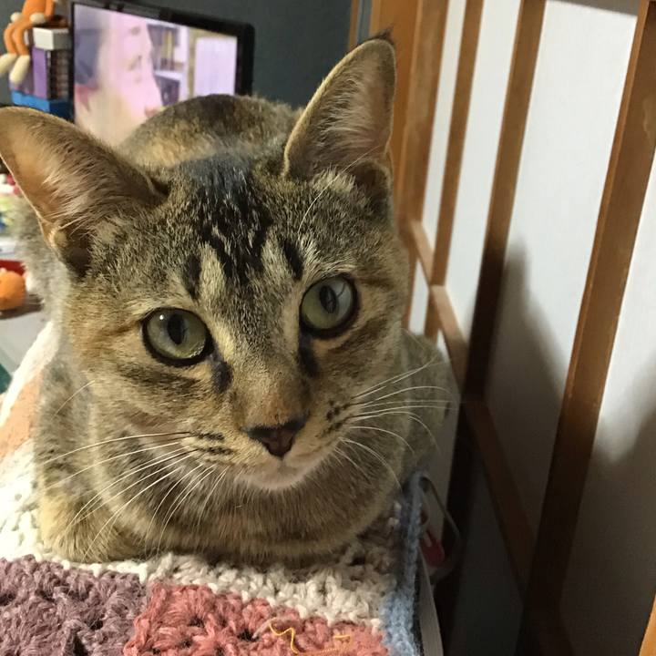 6bd19c77 250e 4c17 a6e0 823eedd8e7ea 1577882687366