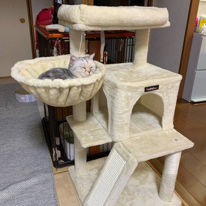 6bd1b303 167c 4ced ab26 cde7cc66f366 1716718059389