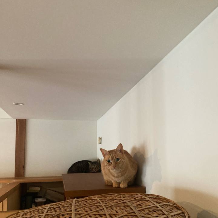 6bd1baef 4def 45a0 bbf3 5662b86d9a09 1774042725038