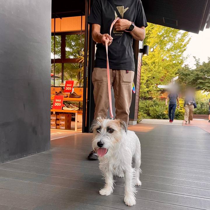 6bd1e2b5 0790 4bd2 b7cf 67e95522243e 1664631390977