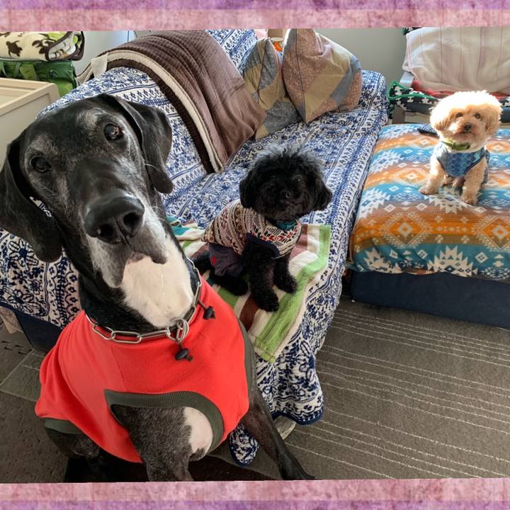 6bd24604 db01 4e73 b02d e743aa96ba5c 1581893441759