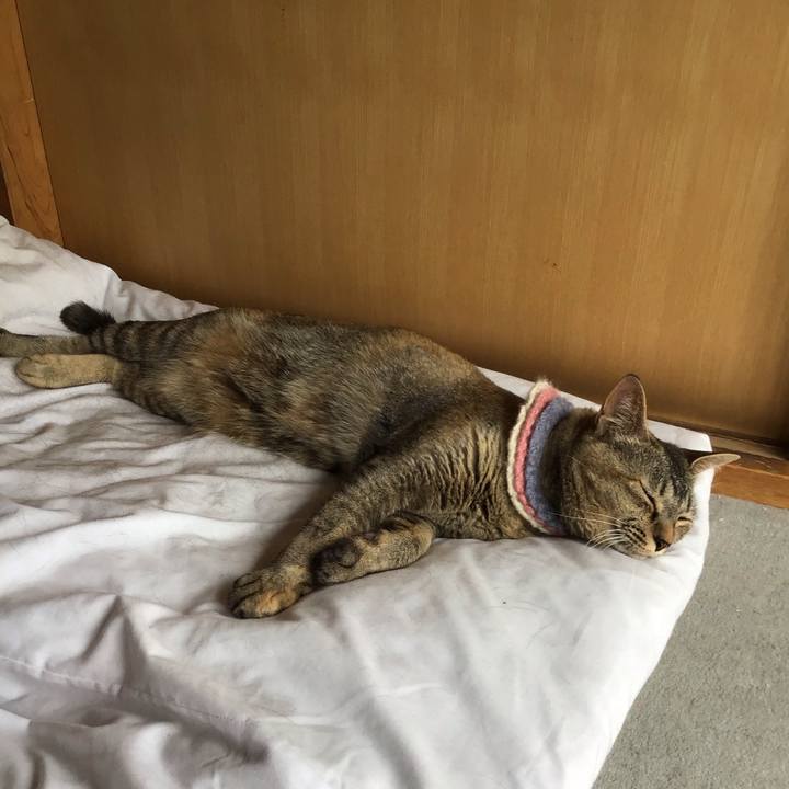 6bd24cc9 a98f 4eed b667 dc1ddd7f0d93 1624682193367