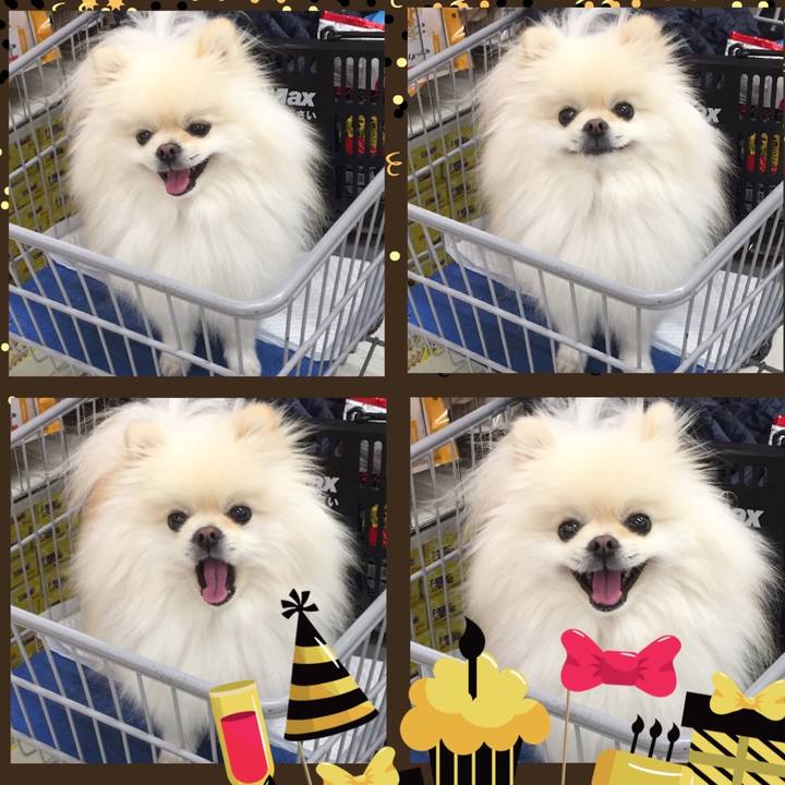 6bd259bf 7ffc 4911 9fd9 5ba0a822043c 1578400495352