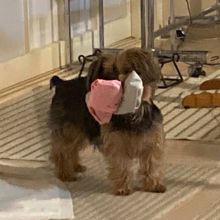 6bd29712 4761 4c3b a48e 1f9a635d1755 1647770645941