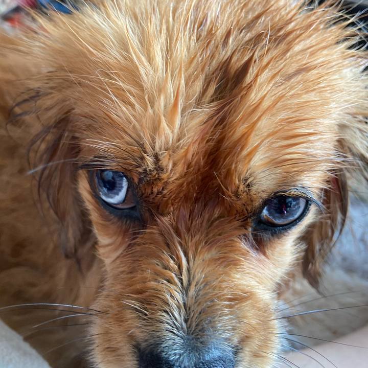 6bd2cd1b 3728 477c bdef 7f483a408356 1583119996511