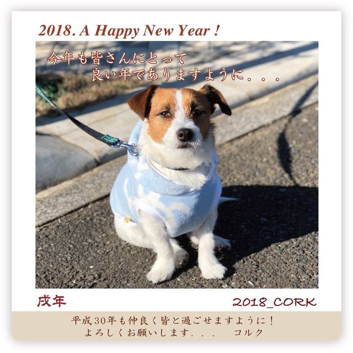 6bd33cb4 decb 4bec 9ac4 3f4d72c2acb3 1514803887862