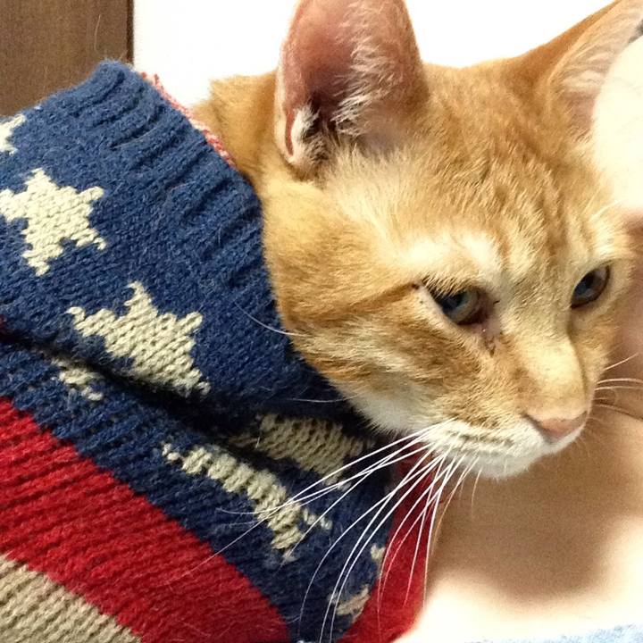 6bd34442 d748 446a a74a 183d46ce7e21 1542194839712