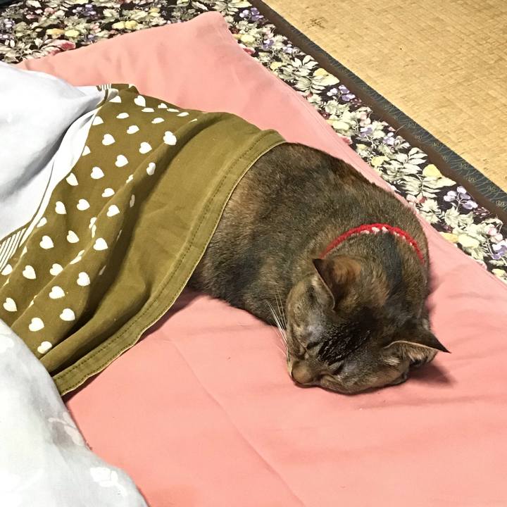 6bd35c1a 2e1b 4415 9aea 741d8399a5fe 1679137614525