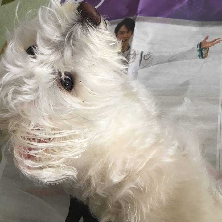 6bd37bfe 4d2d 4640 9577 6a6f493e19a2 1524366532485