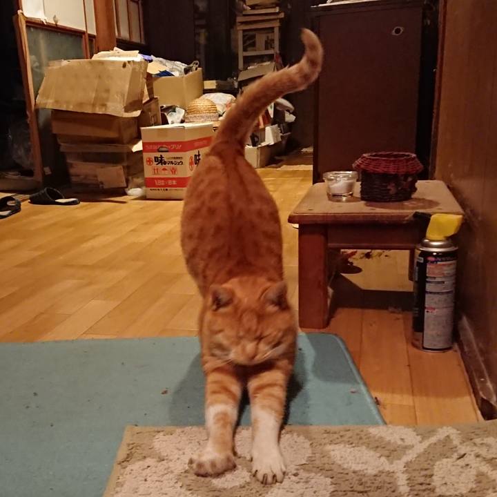 6bd3affa ea82 4587 b9b3 fcae53e23baf 1575968794998