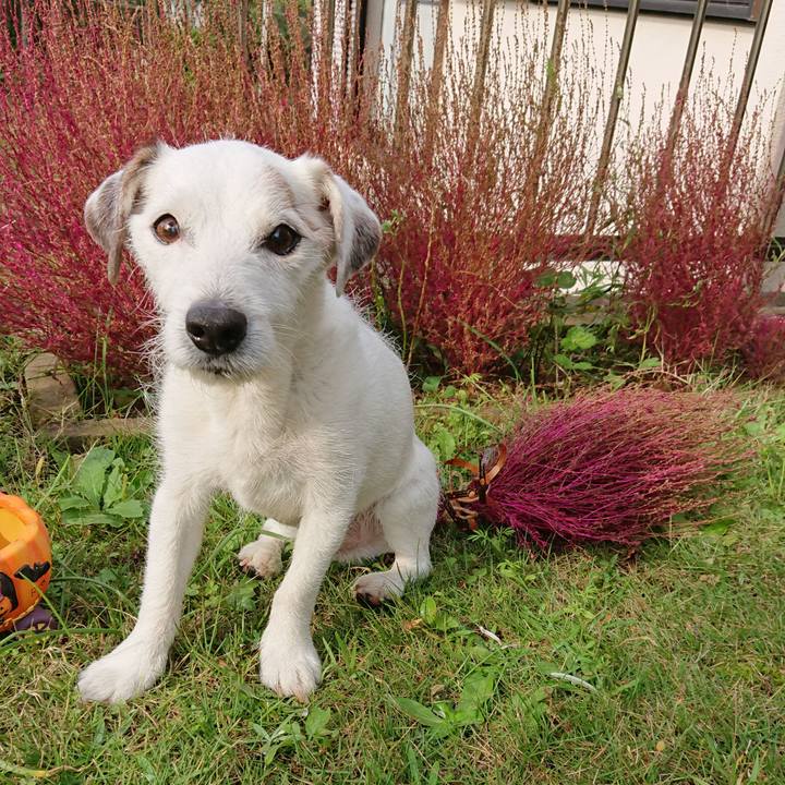 6bd3b5a5 faa0 4209 b015 4a484cb31399 1603843940531