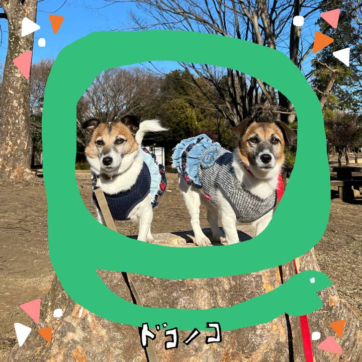 6bd3c339 1a90 467b 831c 89a2cac7b777 1741104978547