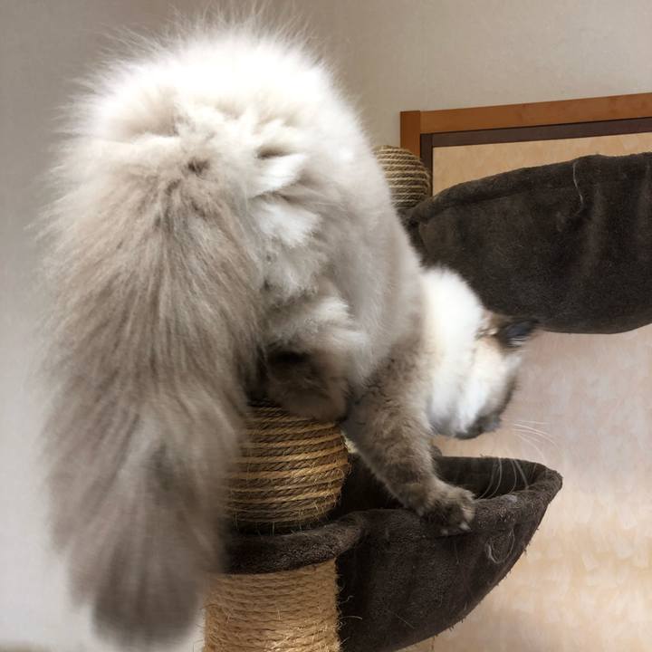 6bd3ca68 9c54 4b47 a255 203590f6eeab 1634997509834