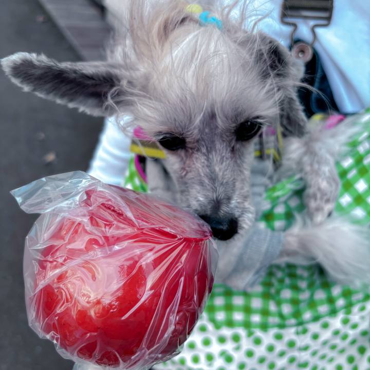 6bd3e5cf a143 4b60 8820 73586c2b6ae2 1762060470115