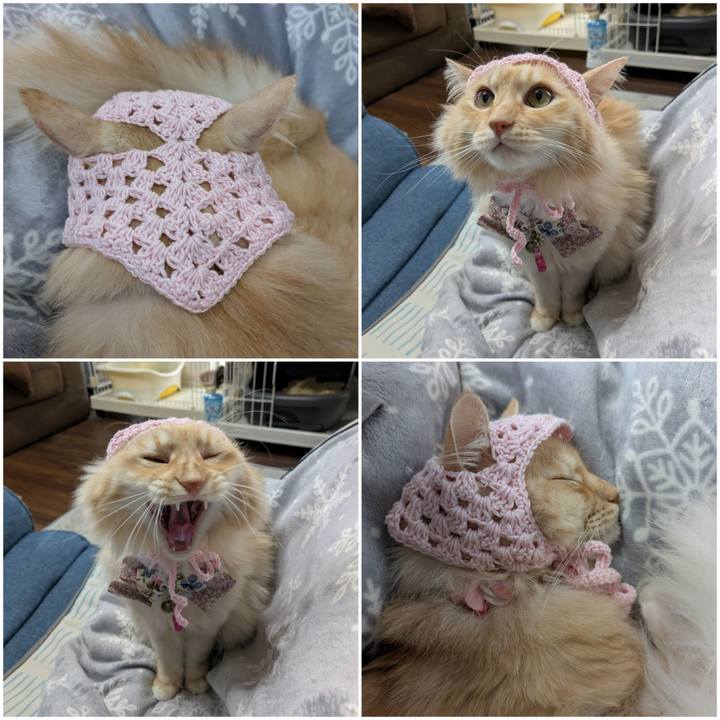 6bd3ed7d 6d22 4890 bc76 3ab8d1c16d6d 1762325470126