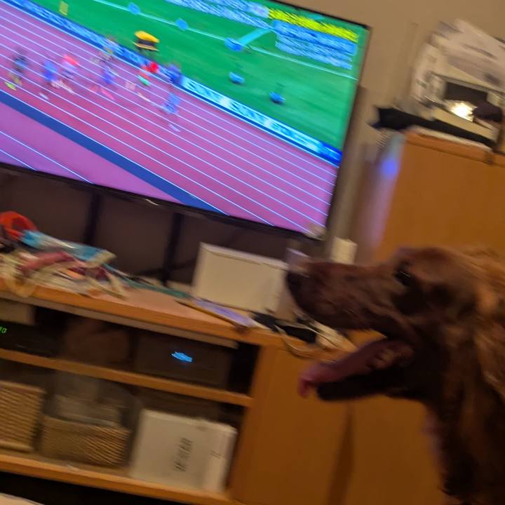 6bd41540 e4e7 41dc b076 32b258fc1ab4 1758027616107