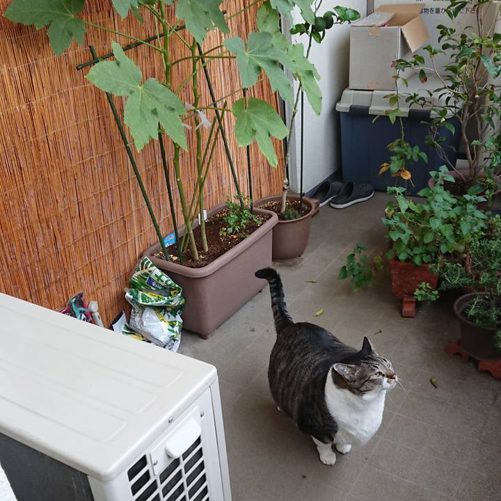 6bd423fd 2f66 4a86 b654 0de0ac53c316 1537577651594