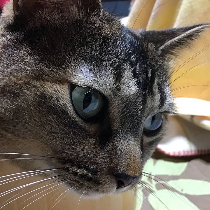 6bd43a2f a3ef 45f4 8b7f b4788b7fbb9d 1762765129397