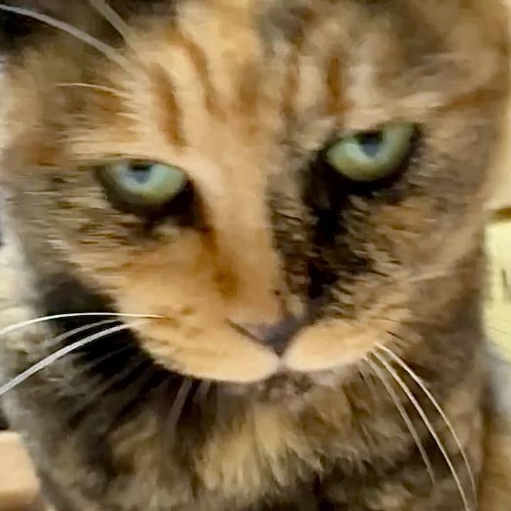 6bd465c5 e607 451d ab7f 59f147f4a96d 1754965783578