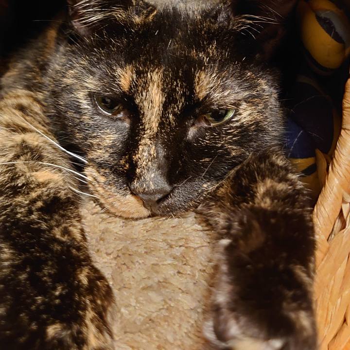 6bd473c9 e92c 404e 8ff1 2fdb3ec6e77b 1758193685926