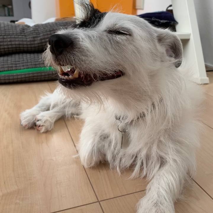 6bd482f2 44a4 4c87 a1c6 de2722bba4b5 1567386363796