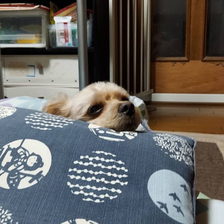 6bd4d20f 95ef 4644 9a41 5c6184f50e29 1688295742583