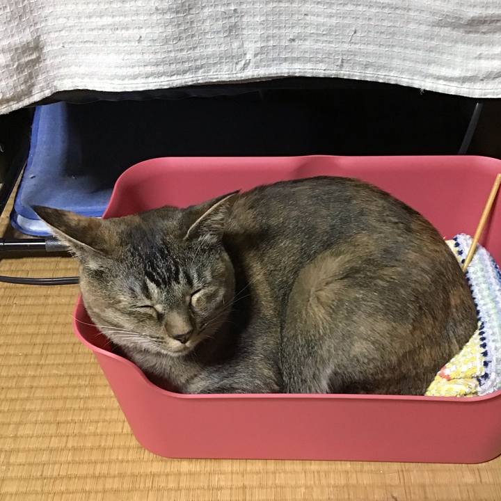 6bd50d5f b31d 4aed af3b 4a311e23add7 1627726258944