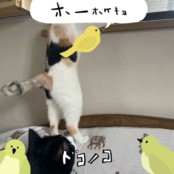 6bd53818 a61c 4419 a75d ea6845f5ccd3 1711263446213