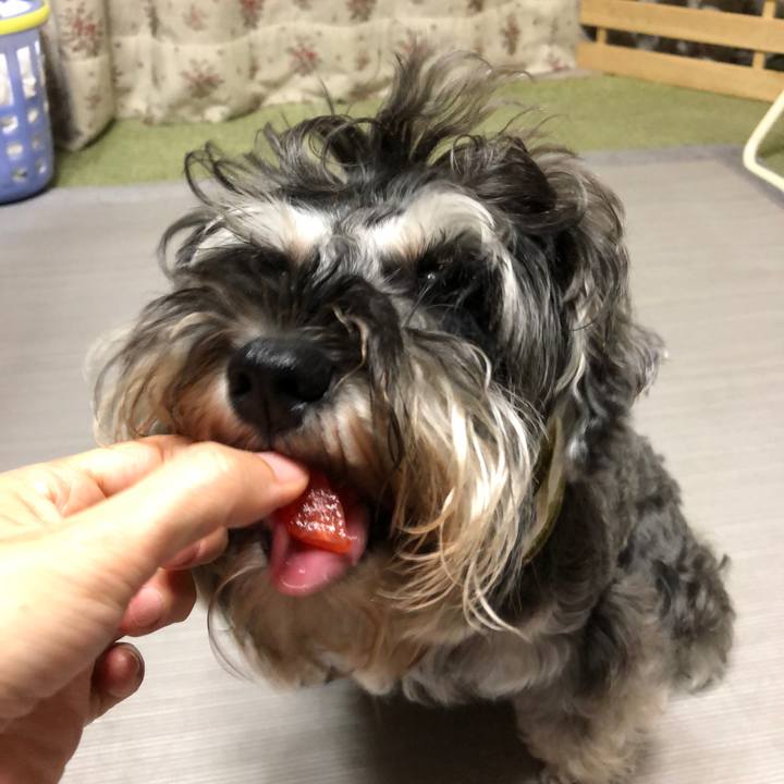 6bd58f55 a3d3 4815 a458 0ae55a30ca21 1565876857226