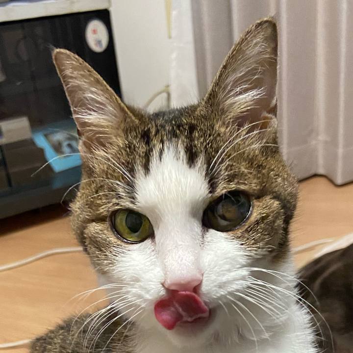 6bd5a8d2 d925 49f1 885e c51917ed9552 1582112070727