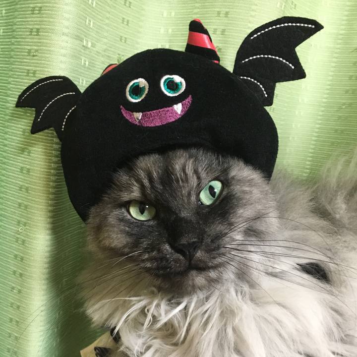 6bd5ba35 90c7 42e5 b370 dd2152e603dc 1508821277945