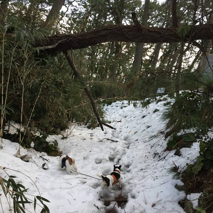 6bd5f28b 217f 42c3 8e83 dc87d6e1953f 1516322149423