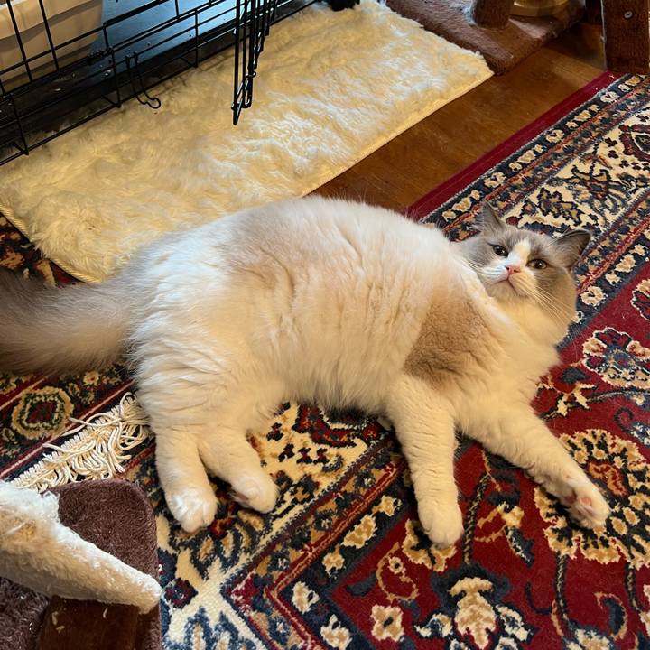 6bd603df 5ac6 46f7 8734 cdbc0c17eedf 1662443854064