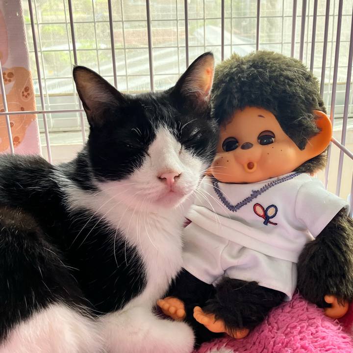 6bd61876 c53d 4b67 9feb b868387c3a10 1728455351633