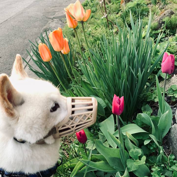 6bd63b15 251e 4504 83d3 aca16516f33f 1652389716316