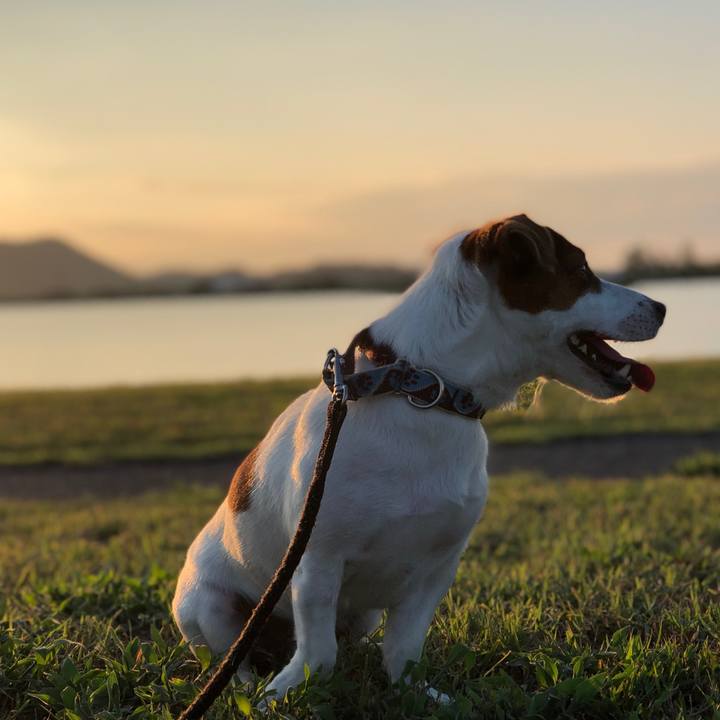 6bd64ce6 1b39 4222 b62e 6617d84fca55 1535882068962