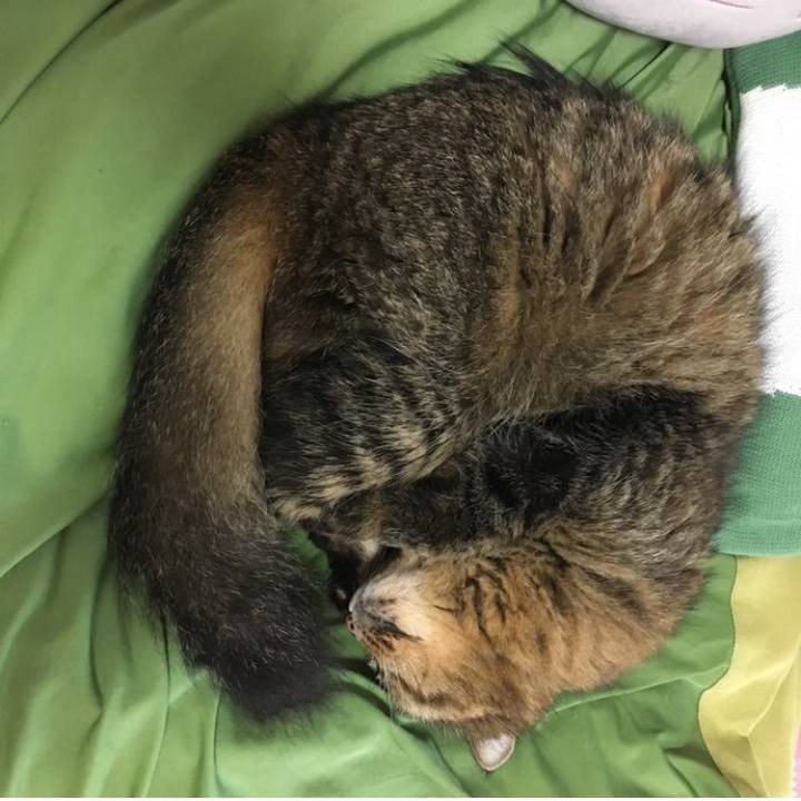 6bd69305 e39d 474d 80cb 8cd60e2bf000 1760159397572