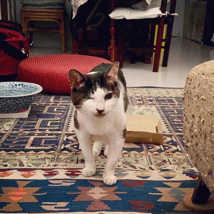 6bd6c525 7703 4093 b63f a0d4046b9cad 1593781960935