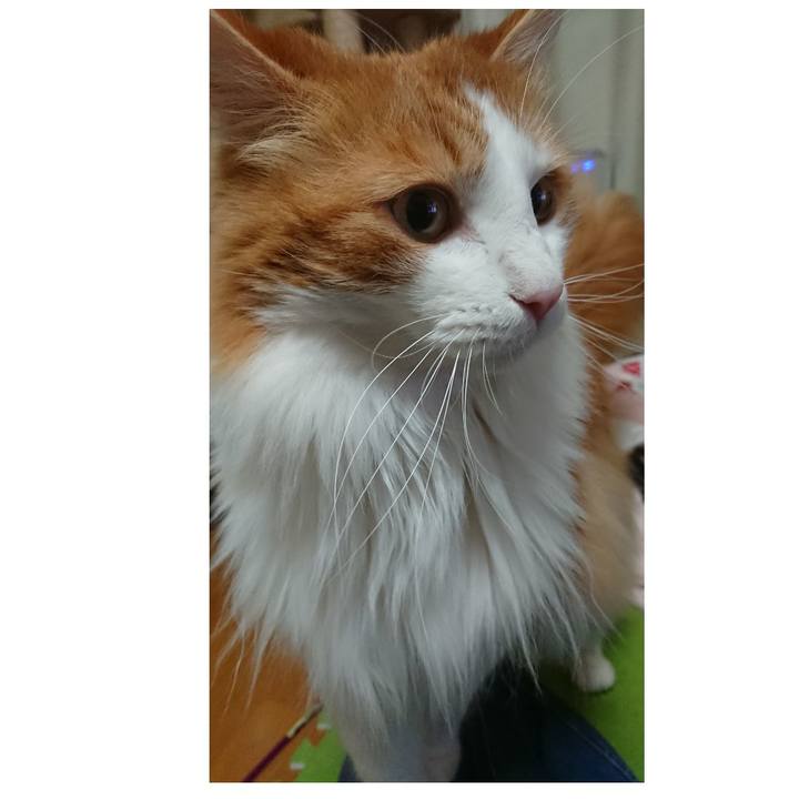 6bd6f83d c712 4e58 86c2 a04a72f2af89 1559227259719