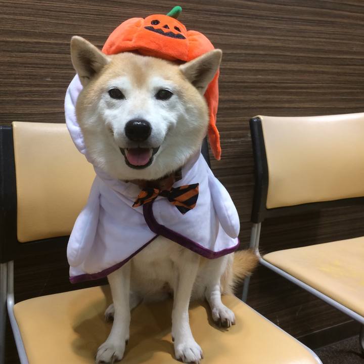 6bd702c3 e48e 4f26 8425 e8ea4e24676c 1763966111061