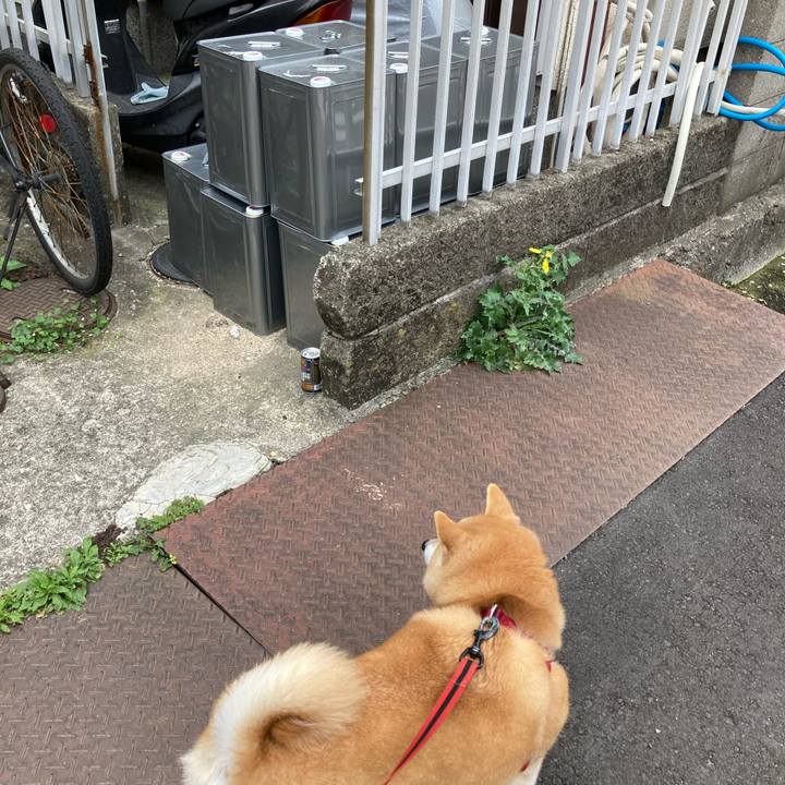 6bd75494 9a81 4046 a6d5 13961ec5e4c5 1617594899460