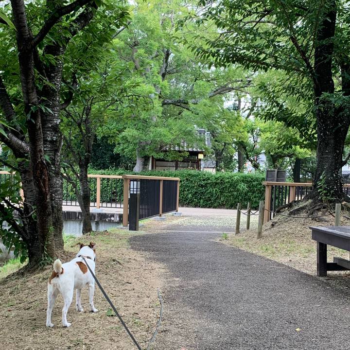 6bd754f5 ebf4 41fd bdc0 7d262df15fb6 1596850808614